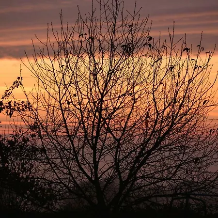 Bed & Breakfast Couloumine Breizh